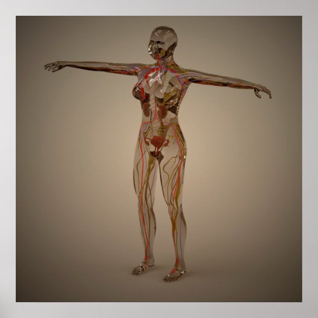 Conceptual Image Of Human Nervous System 2 Poster (Front)