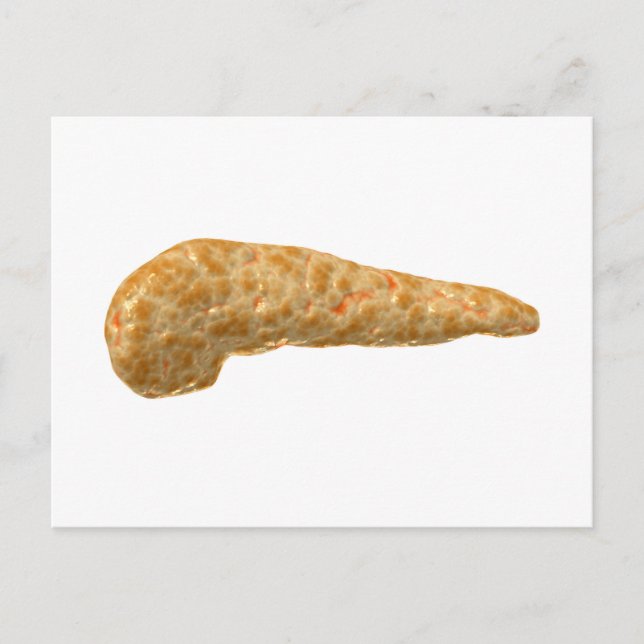 Conceptual Image Of Human Pancreas Postcard (Front)