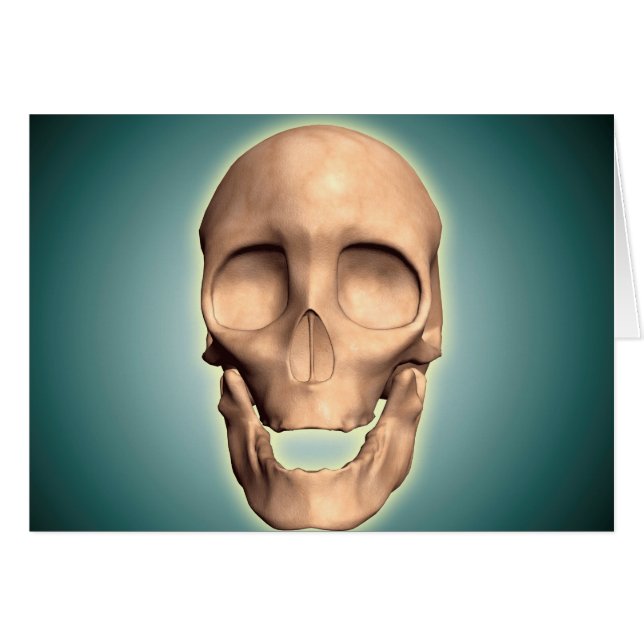 Conceptual Image Of Human Skull, Front View (Front Horizontal)