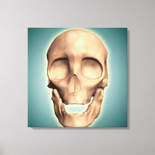 Conceptual Image Of Human Skull, Front View Canvas Print