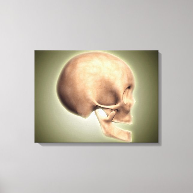 Conceptual Image Of Human Skull, Side View Canvas Print (Front)