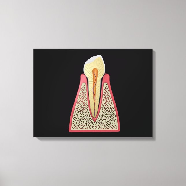 Conceptual Image Of Human Tooth 2 Canvas Print (Front)