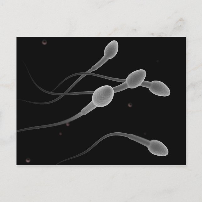 Conceptual Image Of Male Sperm Postcard (Front)