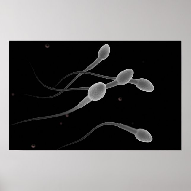 Conceptual Image Of Male Sperm Poster (Front)