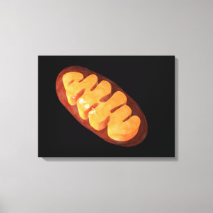 Conceptual Image Of Mitochondria 1 Canvas Print