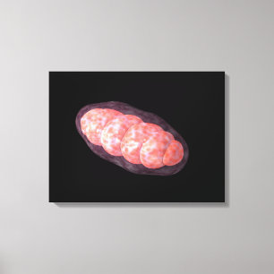 Conceptual Image Of Mitochondria 2 Canvas Print