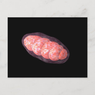 Conceptual Image Of Mitochondria 2 Postcard