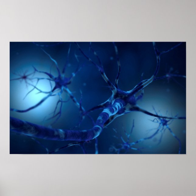Conceptual Image Of Neuron 2 Poster (Front)