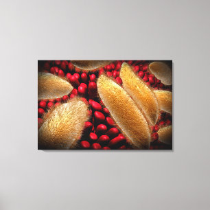 Conceptual Image Of Paramecium 1 Canvas Print