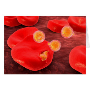 Conceptual Image Of Paramecium 2