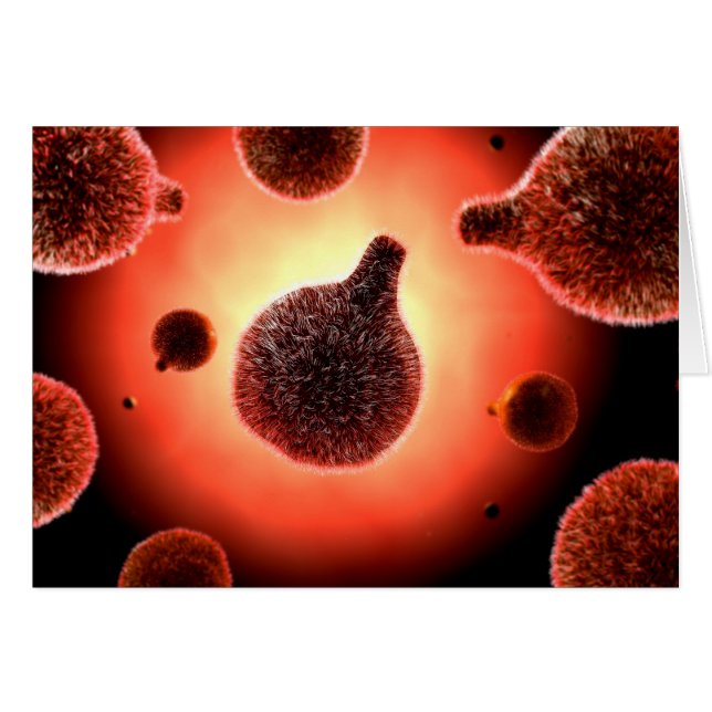 Conceptual Image Of Plasmodium Causing Malaria 1 (Front Horizontal)