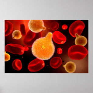 Conceptual Image Of Plasmodium Causing Malaria 2 Poster