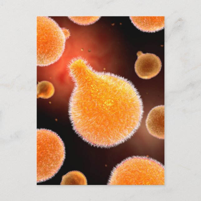 Conceptual Image Of Plasmodium Causing Malaria 3 Postcard (Front)