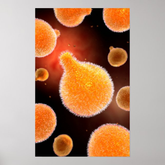 Conceptual Image Of Plasmodium Causing Malaria 3 Poster (Front)