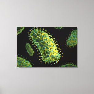 Conceptual Image Of Rabies Virus 2 Canvas Print