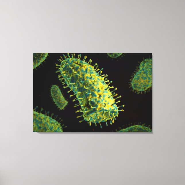 Conceptual Image Of Rabies Virus 2 Canvas Print (Front)