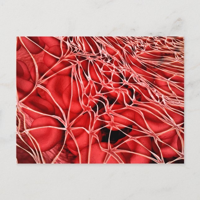 Conceptual Image Of Red Blood Cells With Fibrin Postcard (Front)