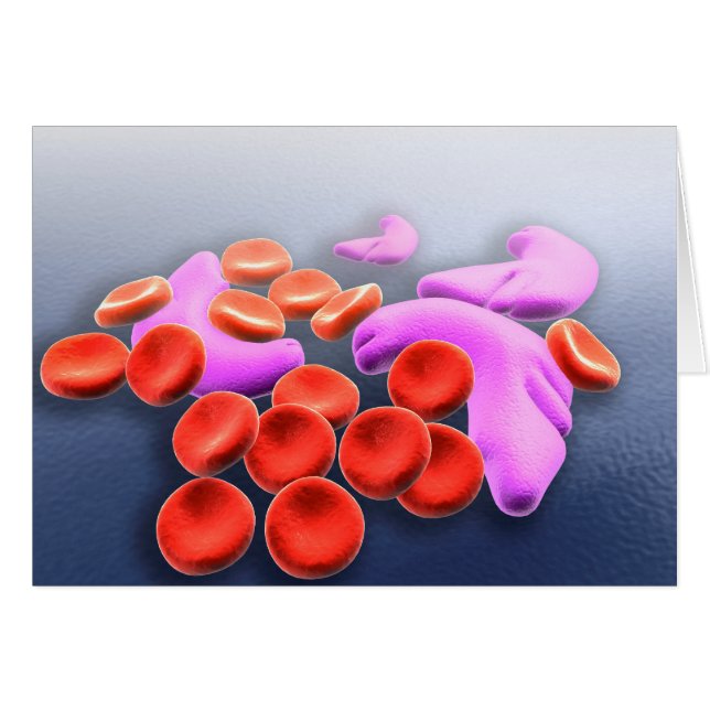 Conceptual Image Of Sickle Cell Anemia (Front Horizontal)