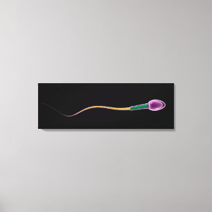 Conceptual Image Of Sperm Anatomy Canvas Print