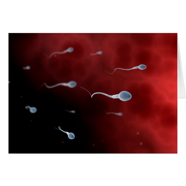 Conceptual Image Of Sperm Inside Fallopian Tube (Front Horizontal)