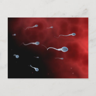 Conceptual Image Of Sperm Inside Fallopian Tube Postcard