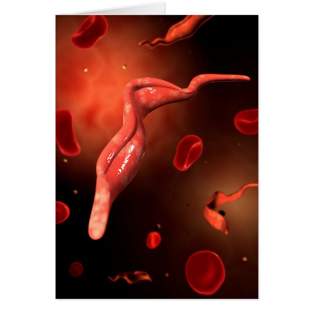 Conceptual Image Of Trypanosoma 1 (Front)