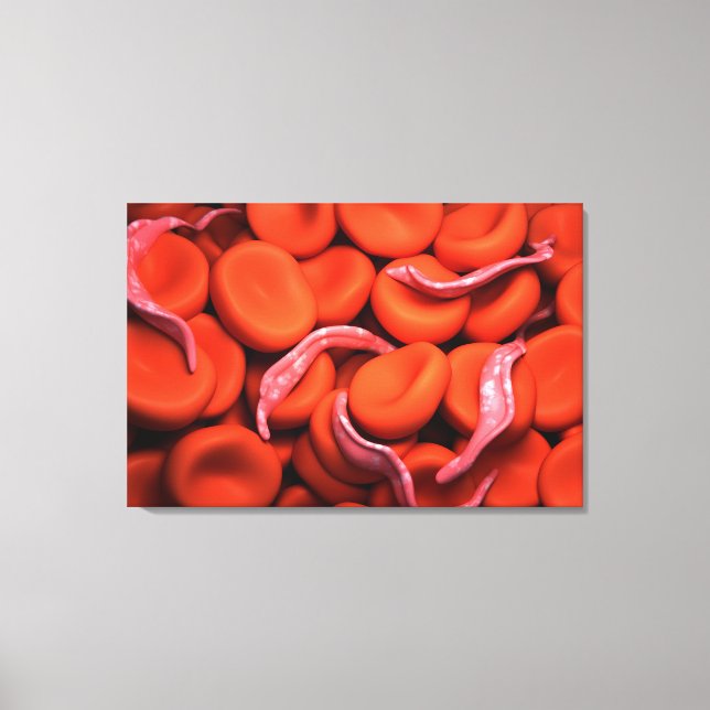 Conceptual Image Of Trypanosoma 3 Canvas Print (Front)