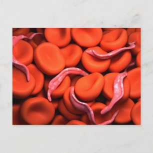 Conceptual Image Of Trypanosoma 3 Postcard