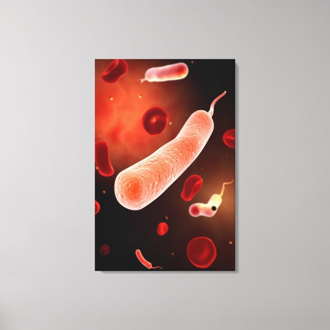 Conceptual Image Of Vibrio Cholerae 2 Canvas Print (Front)