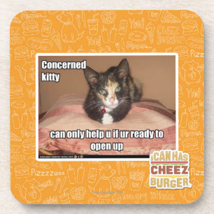 Concerned Kitty Coaster