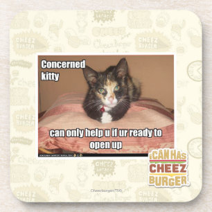 Concerned Kitty Coaster