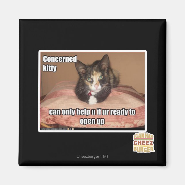 Concerned Kitty Magnet (Front)