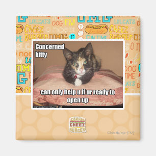 Concerned Kitty Magnet
