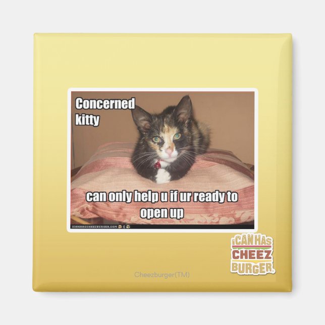 Concerned Kitty Magnet (Front)