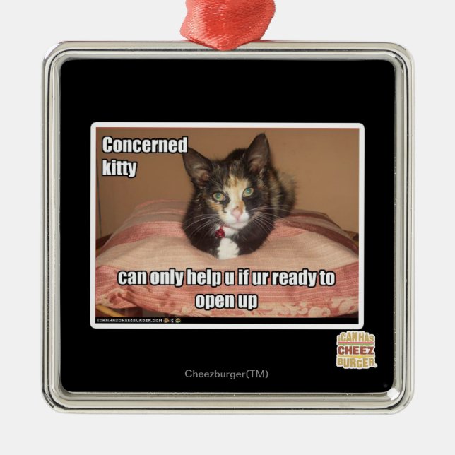 Concerned Kitty Metal Ornament (Front)