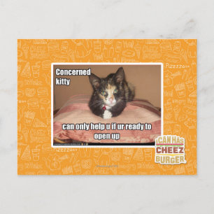 Concerned Kitty Postcard