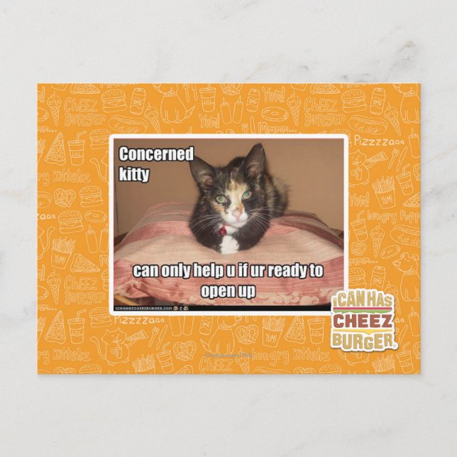 Concerned Kitty Postcard (Front)