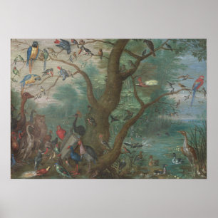Concert d'oiseaux - Jan van Kessel Poster d'art
