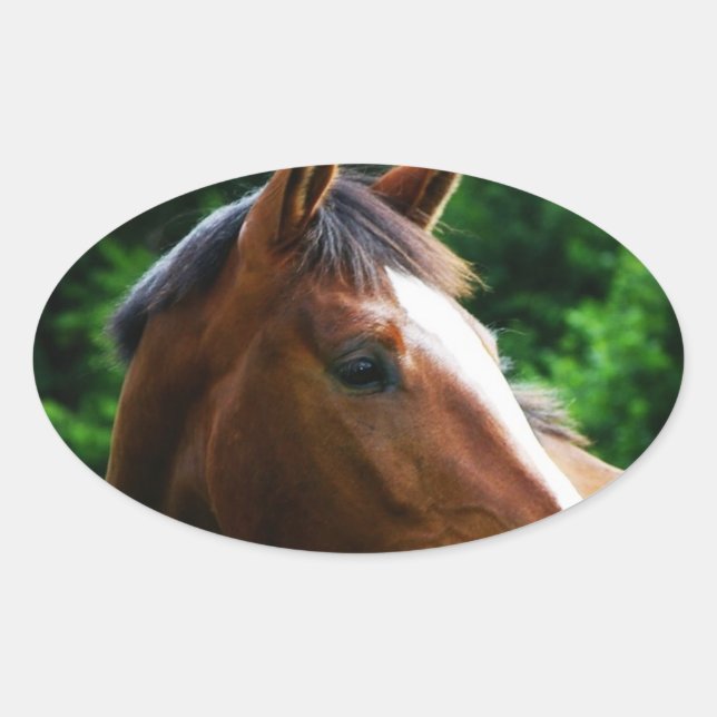 Concevez votre propre Stickers Photo Personnalisé  (Devant)