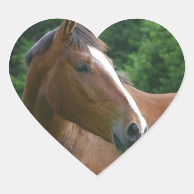 Concevez votre propre Stickers Photo personnalisée (Devant)
