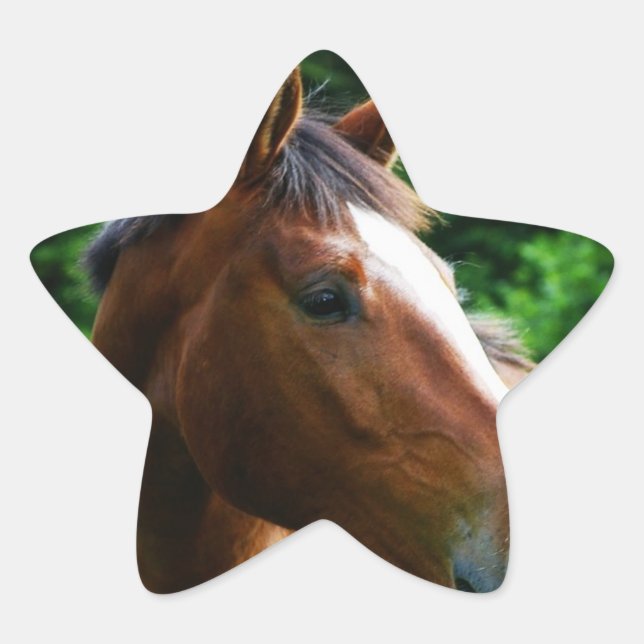 Concevez votre propre Stickers photo personnalisée (Devant)