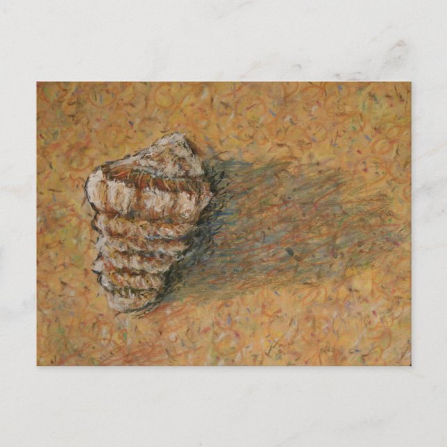 Conch Seashell Sand Beach Postcards (Front)