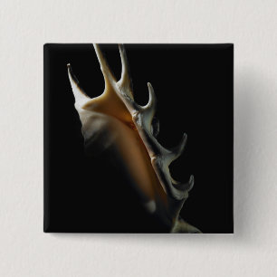 Conch shell 2 inch square button