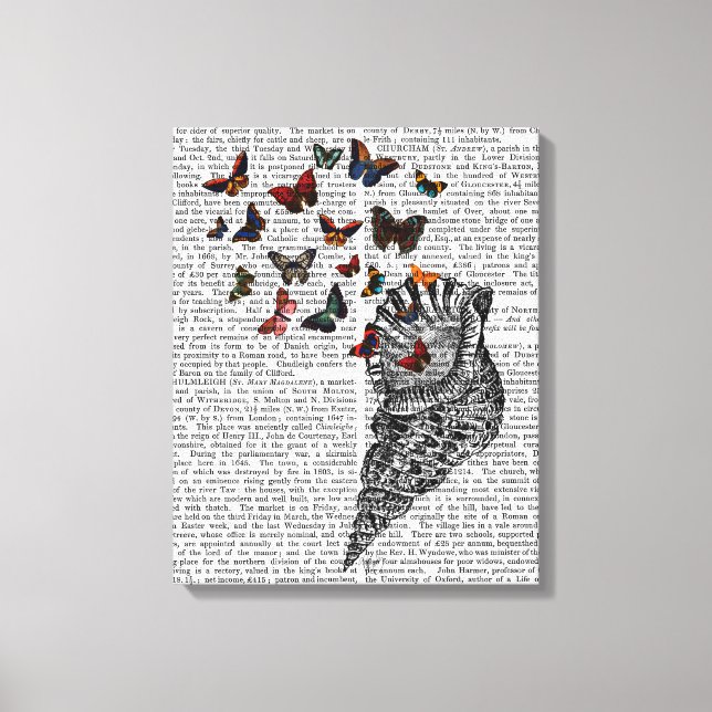 Conch Shell and Butterflies Canvas Print (Front)
