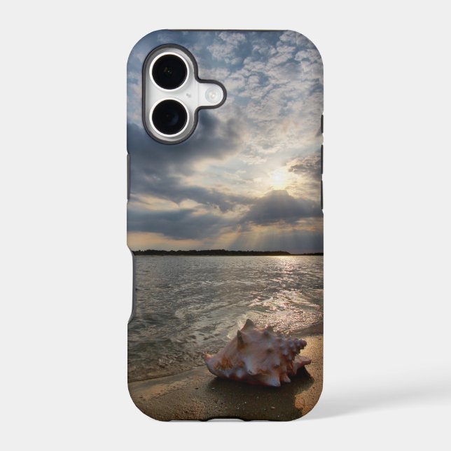 Conch Shell At Beach | St. Augustine, Fl (Back)