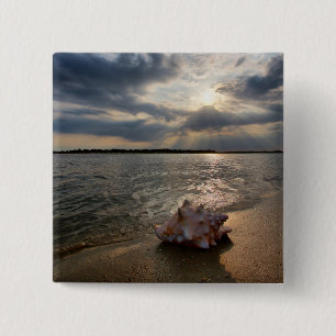 Conch Shell At Beach St. Augustine, Fl 2 Inch Square Button
