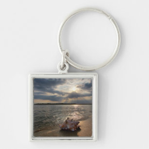 Conch Shell At Beach   St. Augustine, Fl Keychain