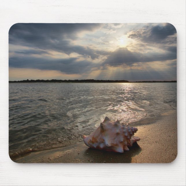 Conch Shell At Beach | St. Augustine, Fl Mouse Pad (Front)