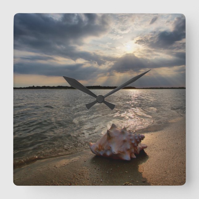 Conch Shell At Beach | St. Augustine, Fl Square Wall Clock (Front)