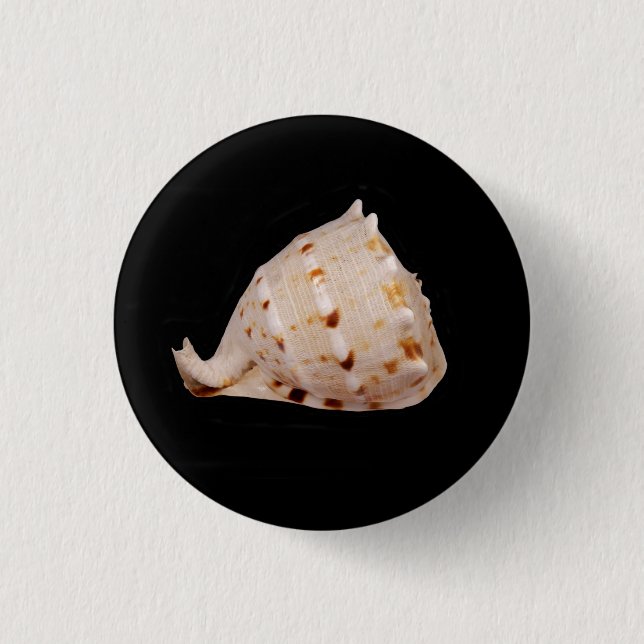 Conch Shell Badge 1 Inch Round Button (Front)